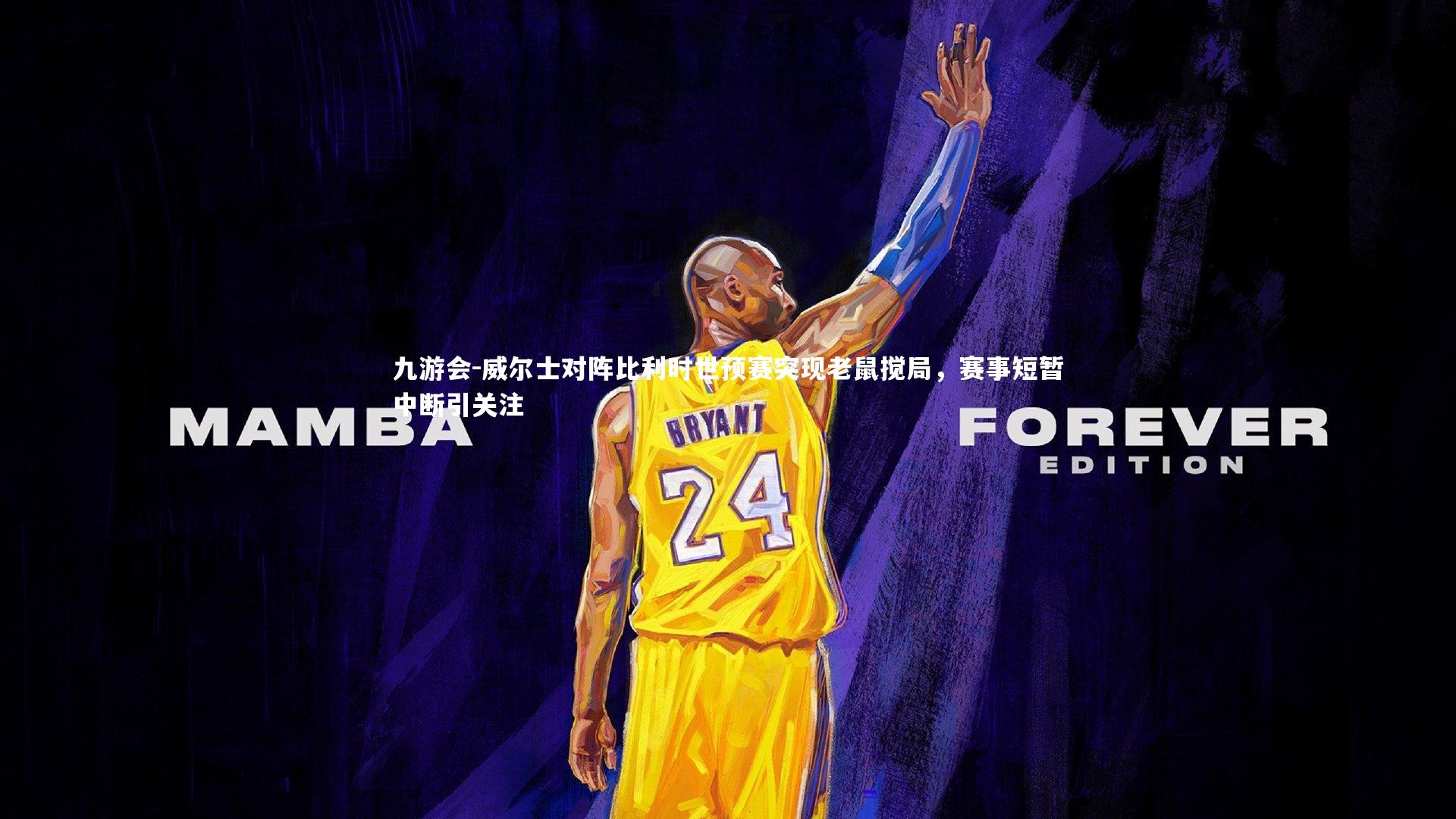 威尔士对阵比利时世预赛突现老鼠搅局，赛事短暂中断引关注